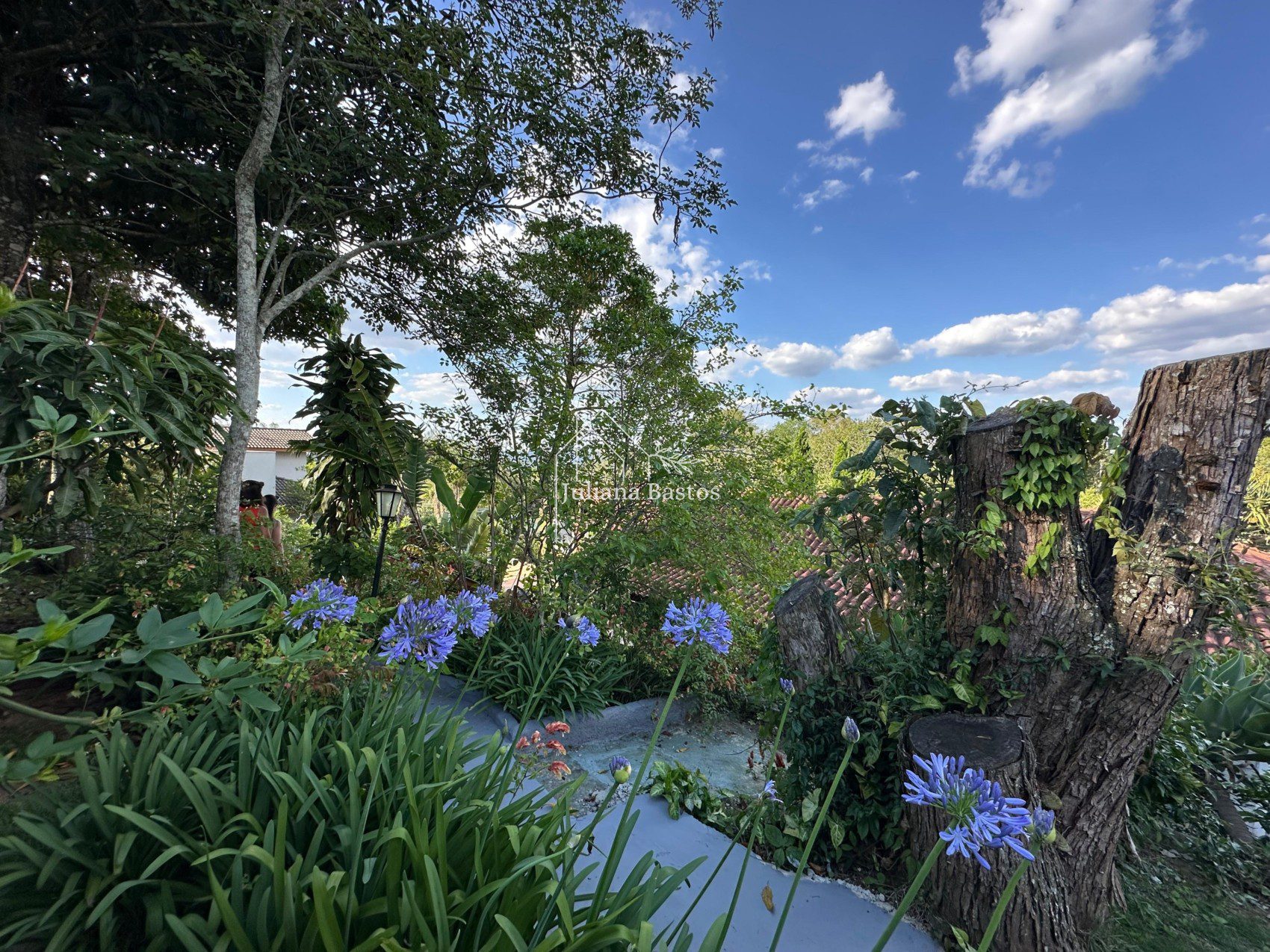 WhatsApp Image 2025-12-02 at 23.33.26 (1)